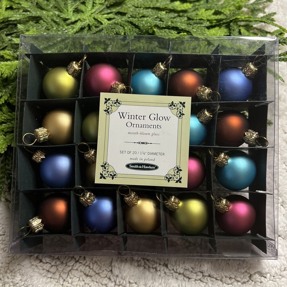 Smith & Hawken Winter Glow Mouth Blown Glass Ball Ornaments Set/20 Poland 1.25”